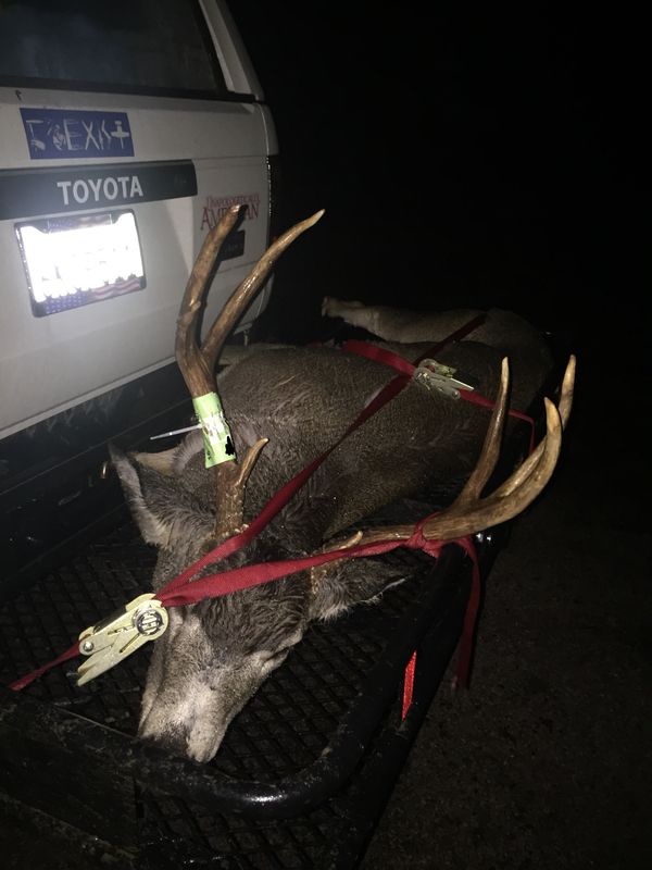 Tagged out archery. Hunt hard. (More pictures)