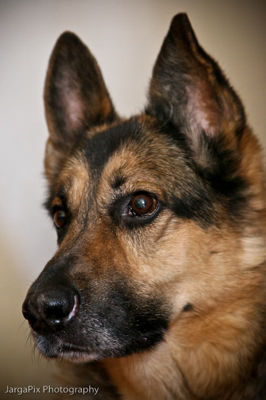 IMAGE: http://img.photobucket.com/albums/v302/jargaguy/MaynardPortraits-09.jpg