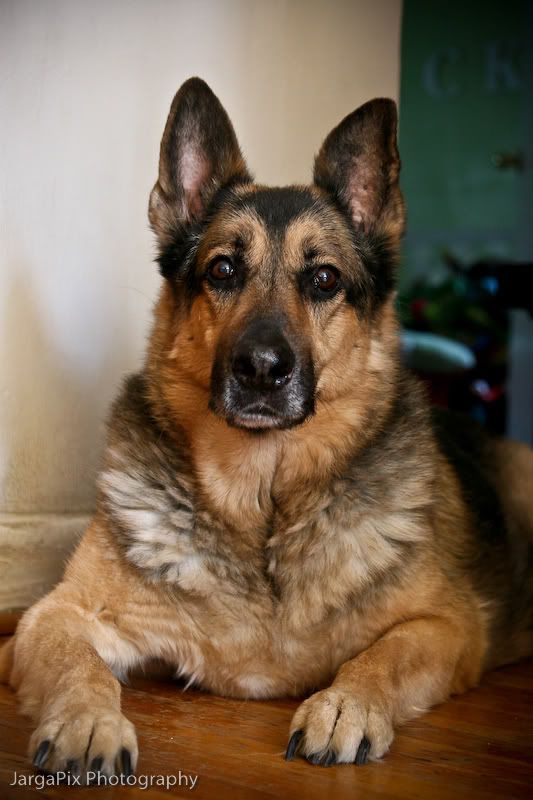 IMAGE: http://img.photobucket.com/albums/v302/jargaguy/MaynardPortraits-26.jpg