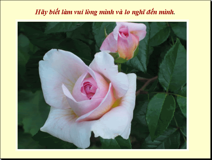 (A?nh hien gio ko hien thi duoc)