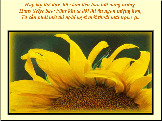 (A?nh hien gio ko hien thi duoc)