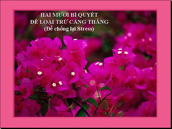 (A?nh hien gio ko hien thi duoc)