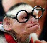 monkey.bmp image by mabusI