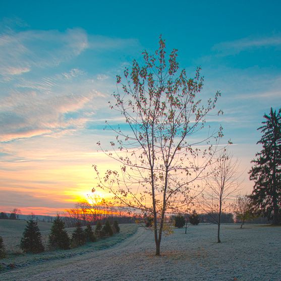 IMAGE: http://img.photobucket.com/albums/v302/sirrith/example1.jpg