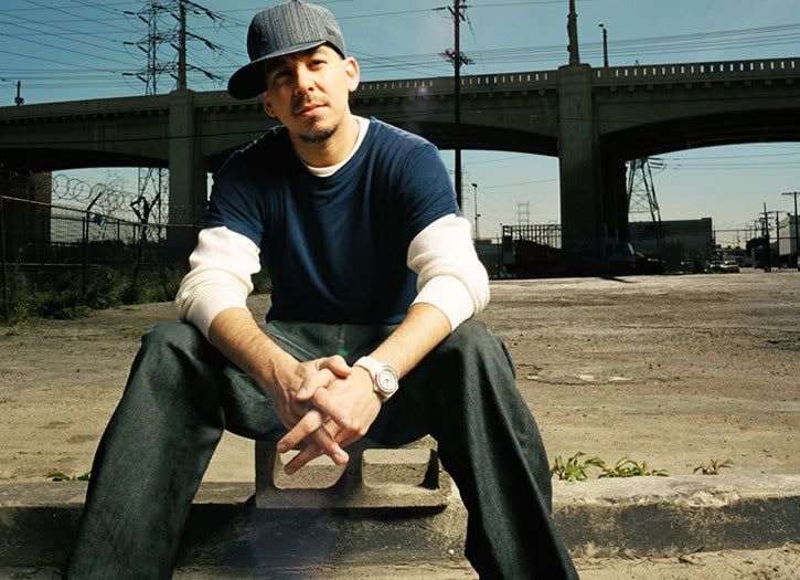 bridge - Mike Kenji Shinoda bridge