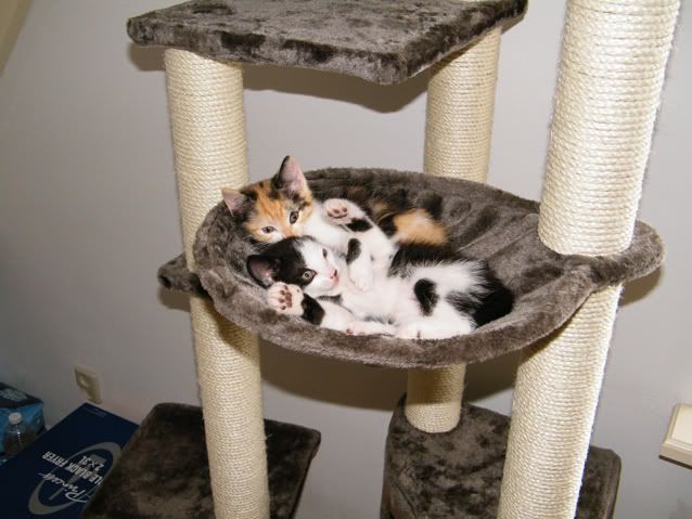 DSCF6374.jpg