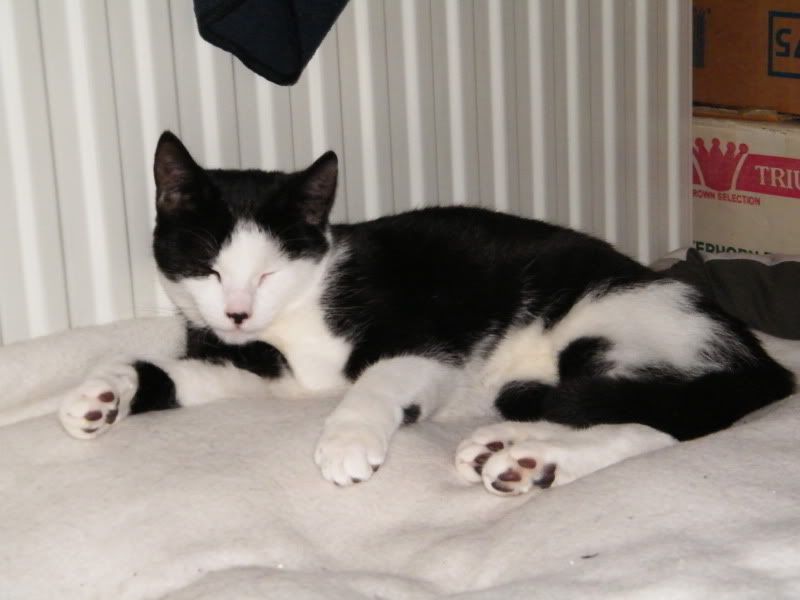 DSCF6946.jpg