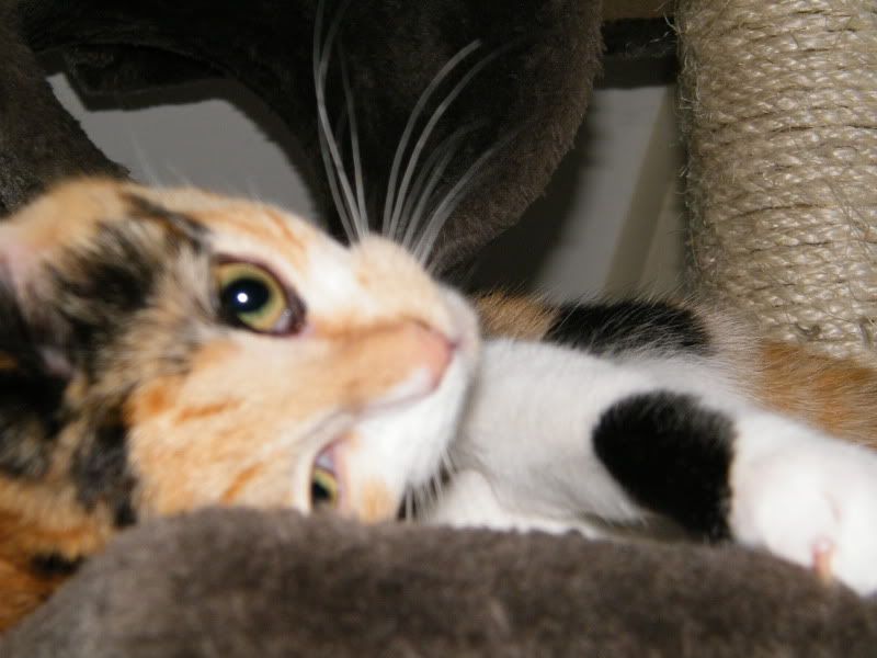 DSCF6953.jpg