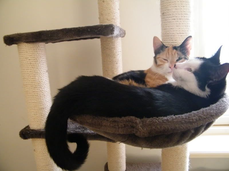 DSCF7059.jpg
