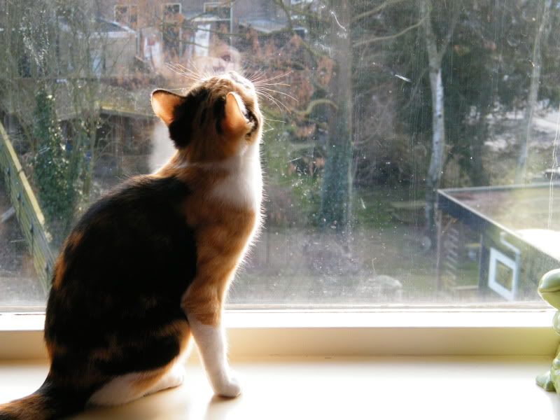 DSCF7260.jpg