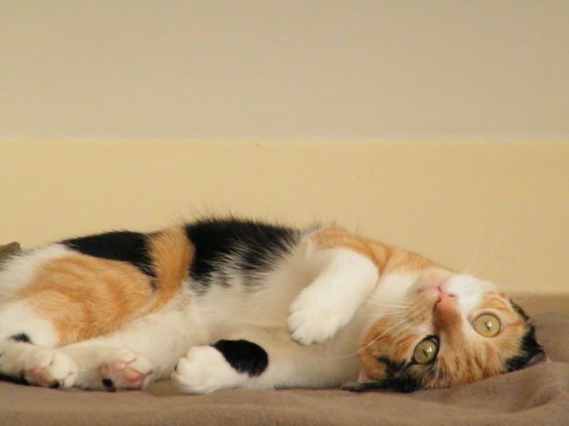 DSCF7286.jpg