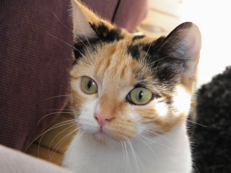 DSCF7301.jpg