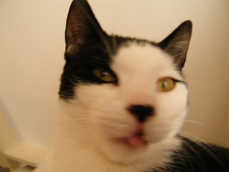 DSCF7313.jpg