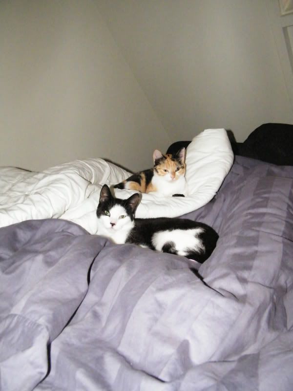 DSCF7472.jpg