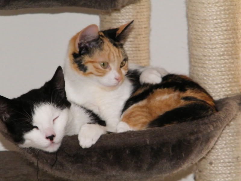 DSCF7474.jpg