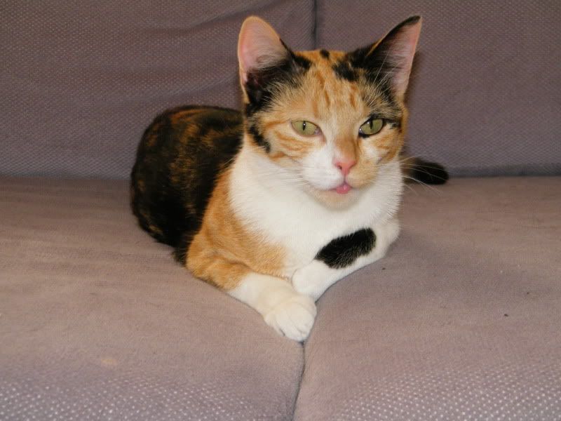 DSCF7562.jpg