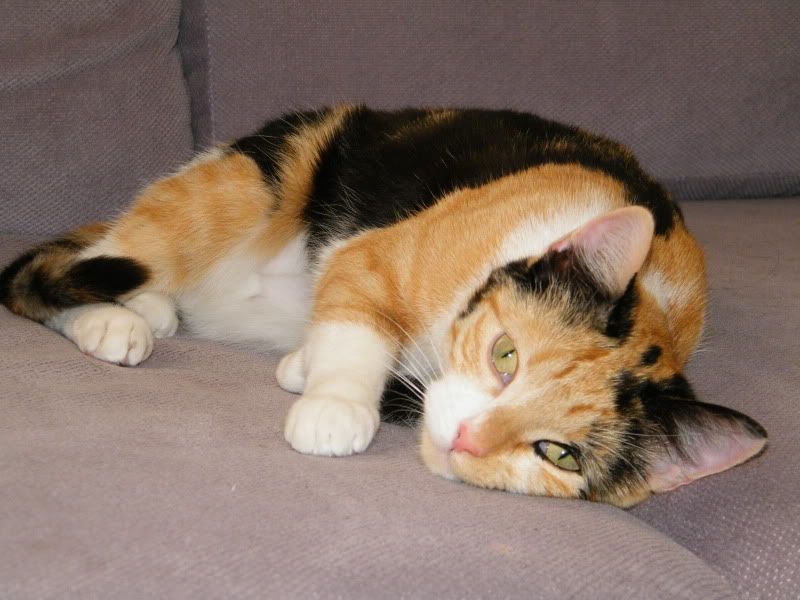 DSCF7567.jpg