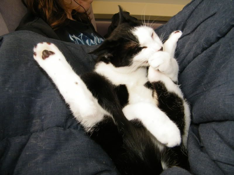 DSCF7598.jpg