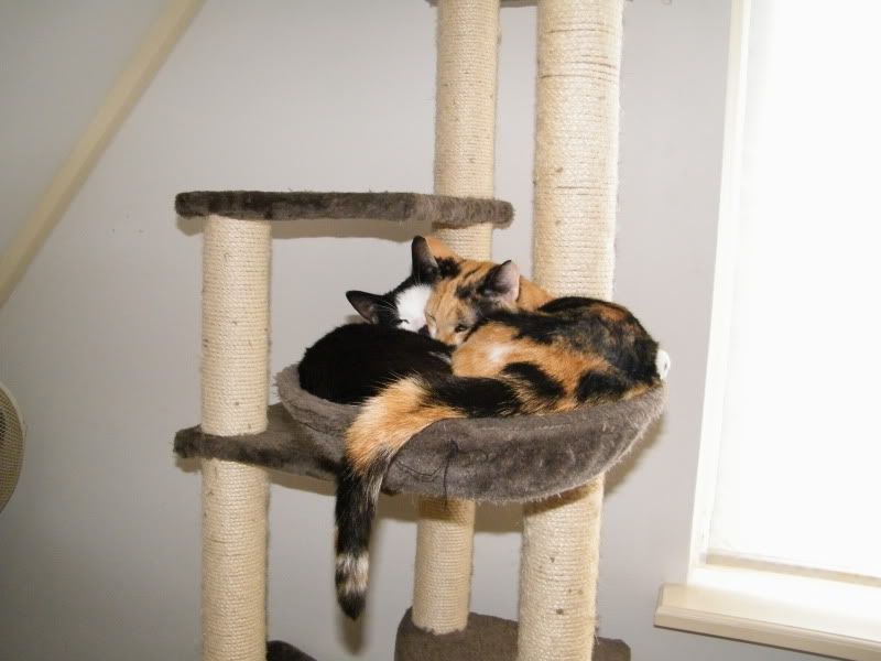 DSCF8033.jpg