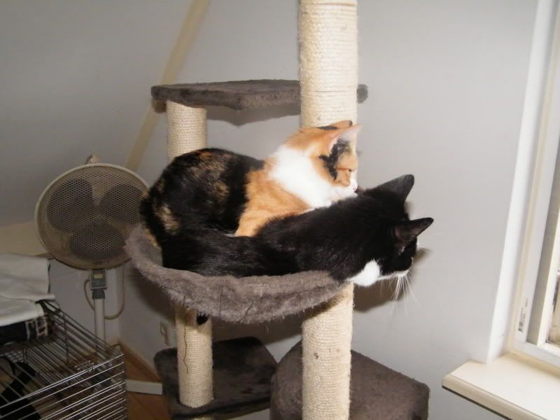 DSCF8041.jpg
