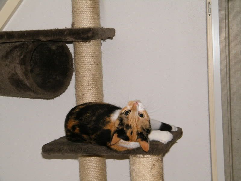 DSCF8109.jpg