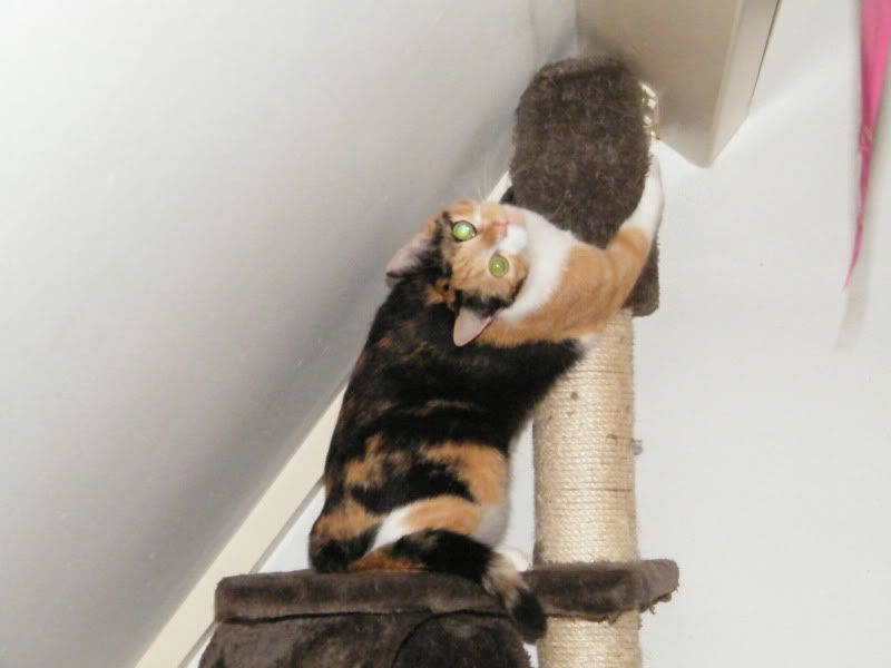 DSCF8115.jpg