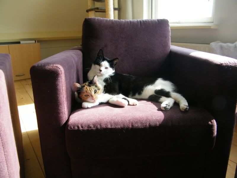 DSCF8141.jpg