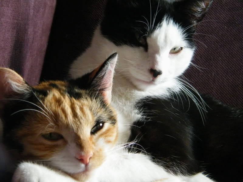 DSCF8146.jpg
