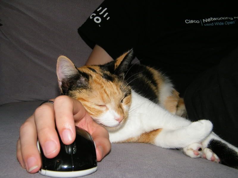 DSCF8162.jpg