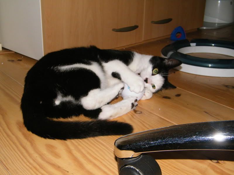 DSCF8171.jpg