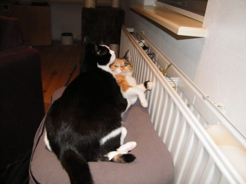 DSCF8199.jpg