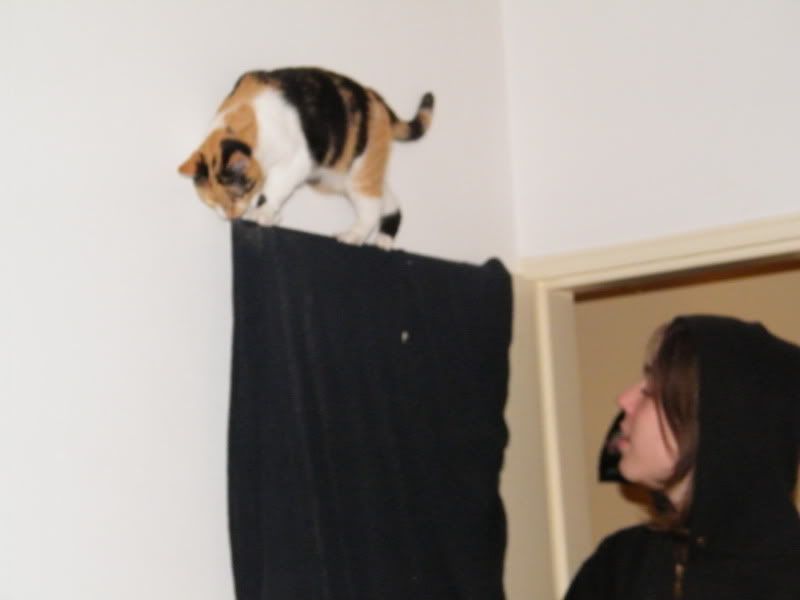 DSCF8250.jpg