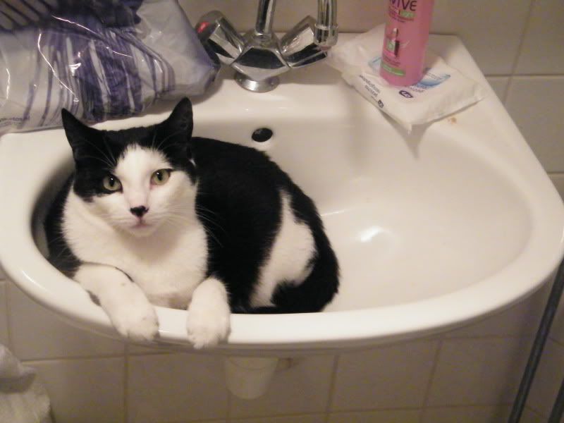 DSCF8287.jpg