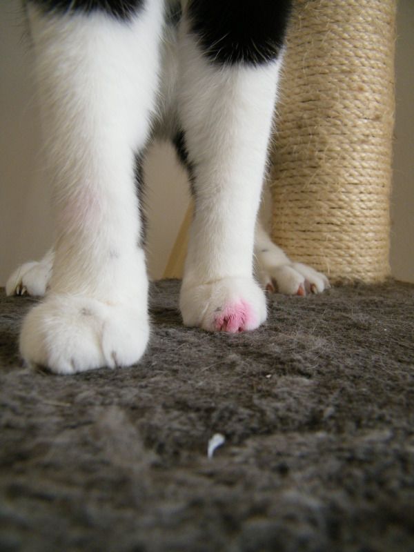 DSCF8557.jpg