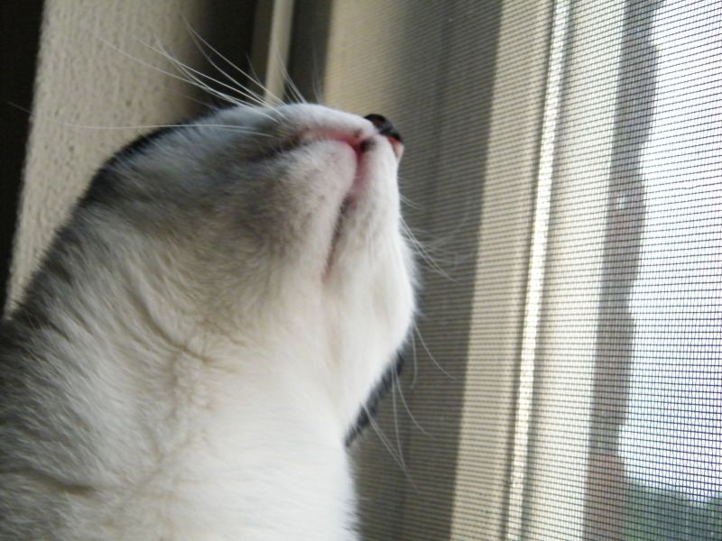 DSCF8660.jpg