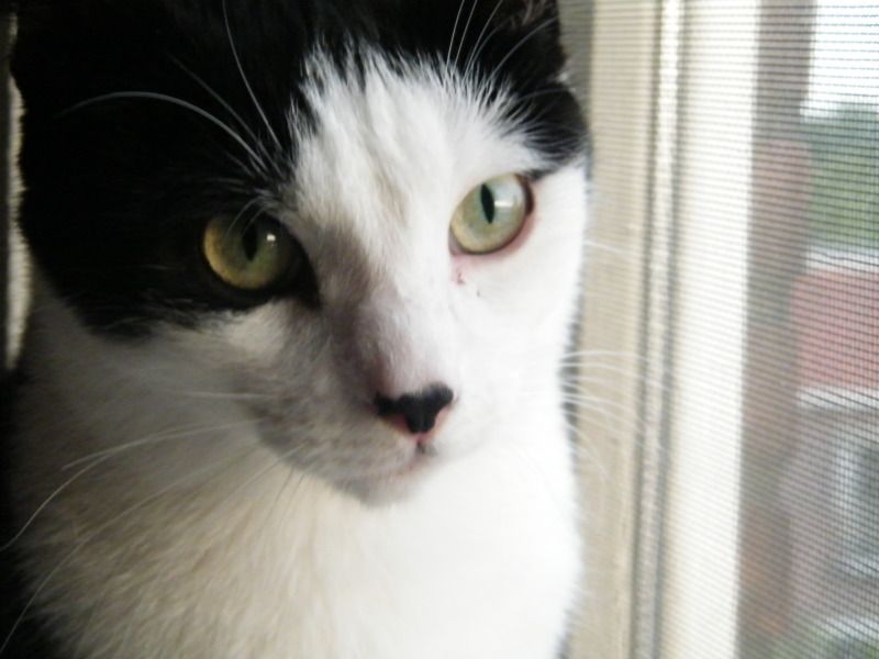 DSCF8661.jpg