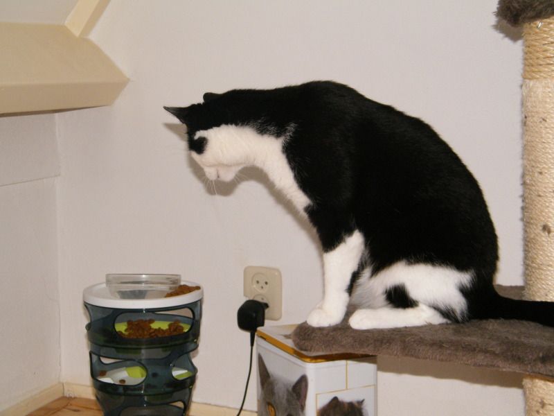 DSCF8671.jpg