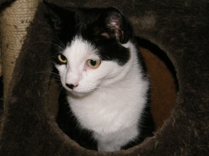 DSCF8677.jpg