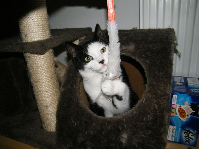 DSCF8681.jpg