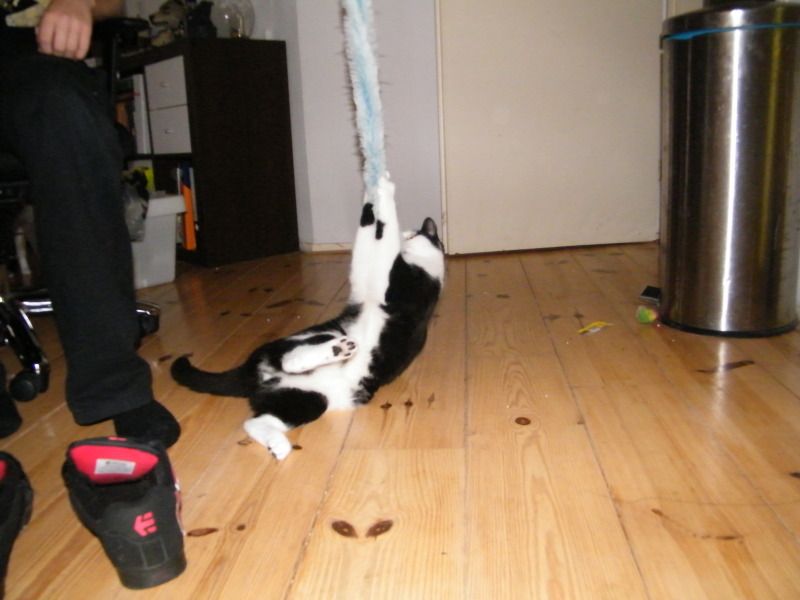 DSCF8691.jpg