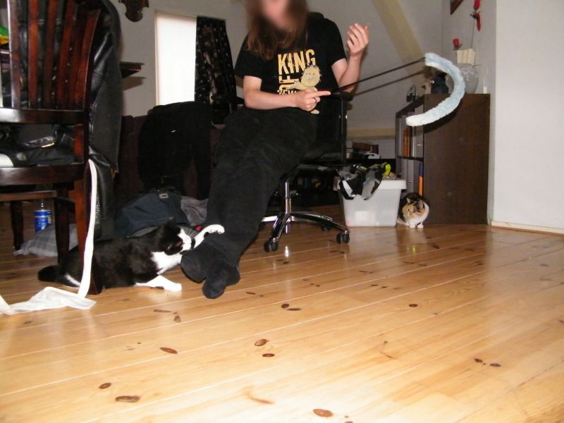 DSCF8707.jpg