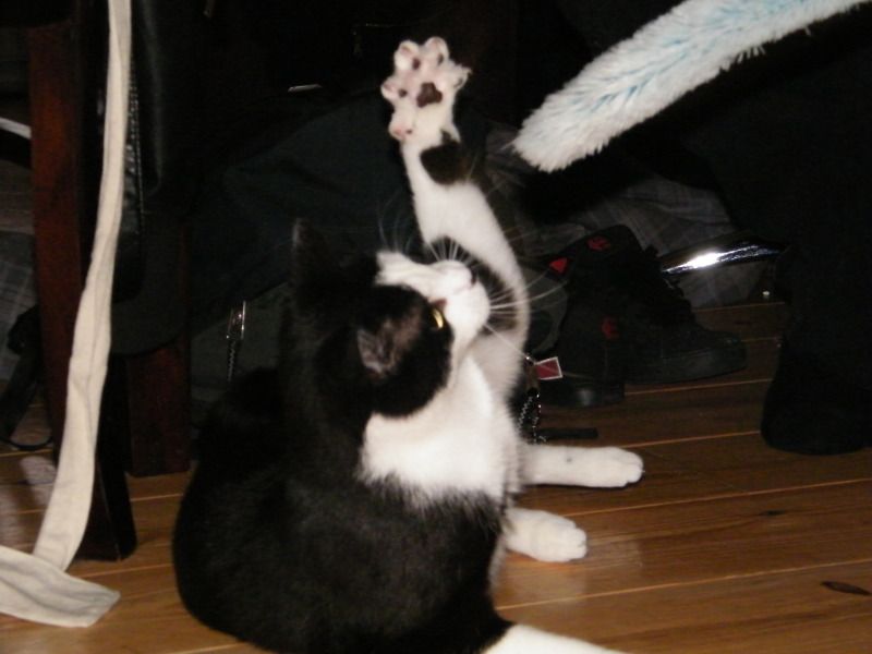 DSCF8708.jpg