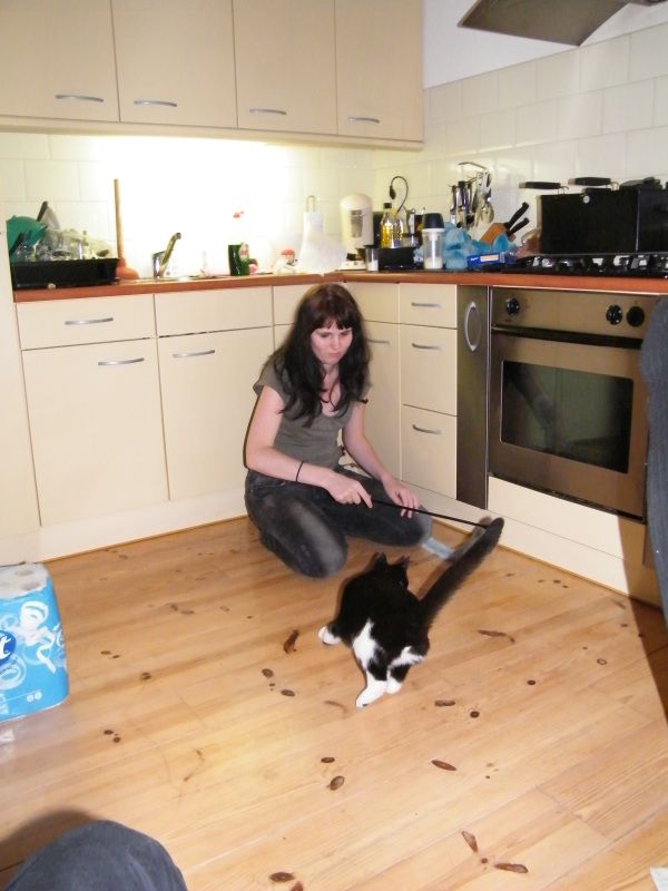 DSCF8711.jpg