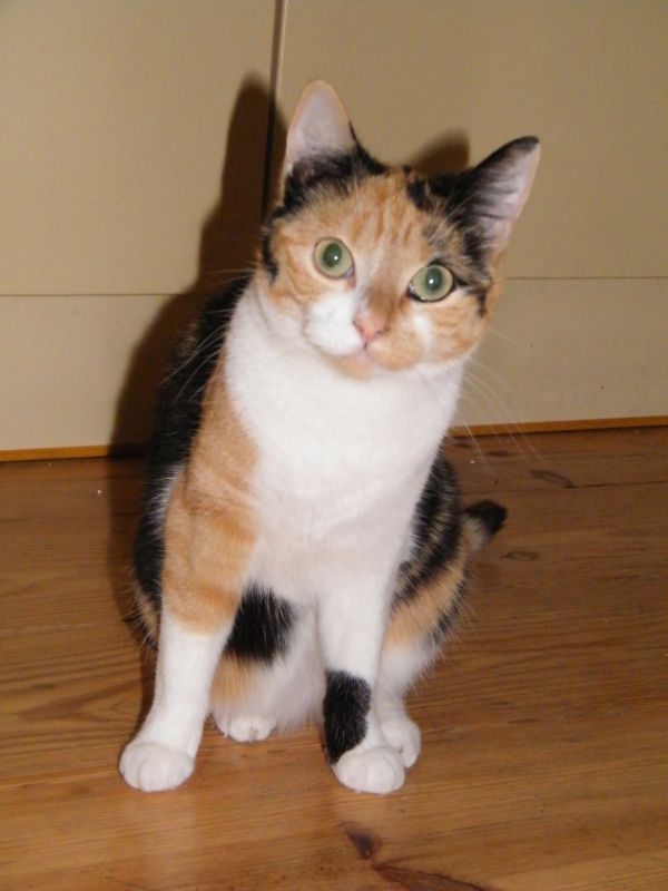 DSCF8716.jpg