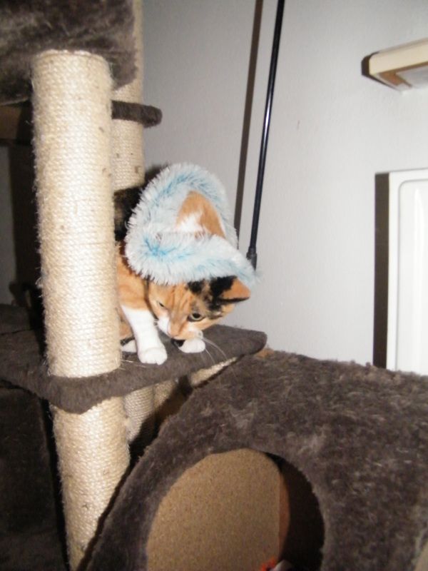 DSCF8719.jpg
