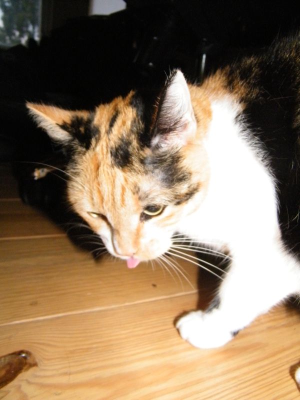 DSCF8731.jpg