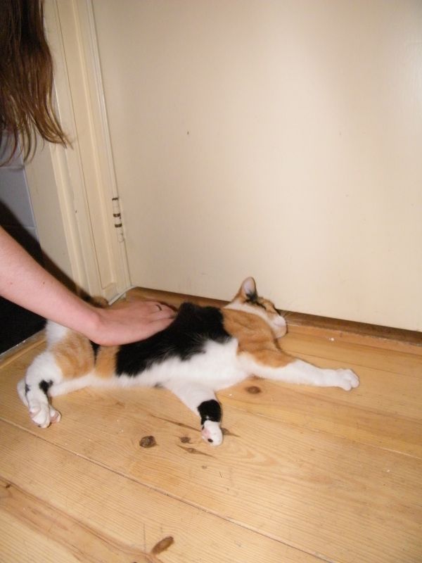 DSCF8733.jpg