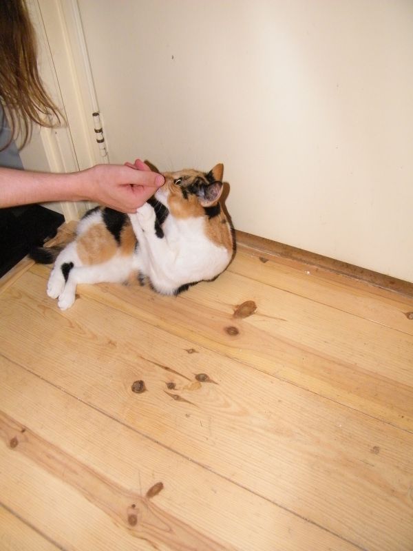 DSCF8735.jpg