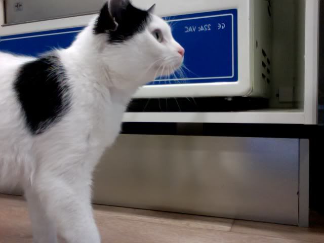Fotoop30-03-2011om08134.jpg