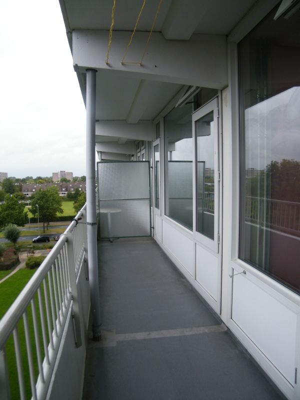 DSCF8876.jpg